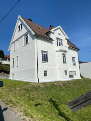 6 sov l Perfekt for StayCATION